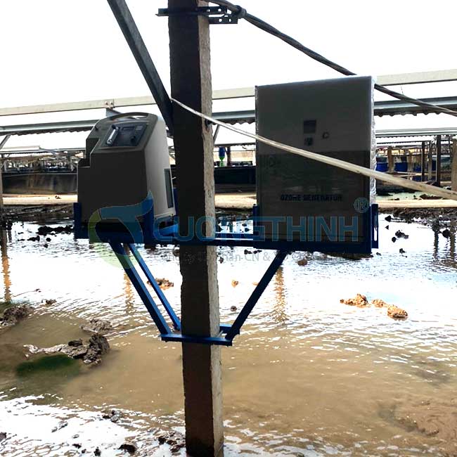 Hệ thống máy ozone Cường Thịnh được lắp đặt xử lý nước nuôi tôm tại Bến Tre