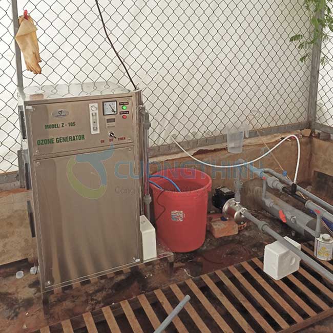 Lắp đặt máy ozone công nghiệp Z-10S tại trang trại trồng rau hoa Dalat Farm xử lý nước nước