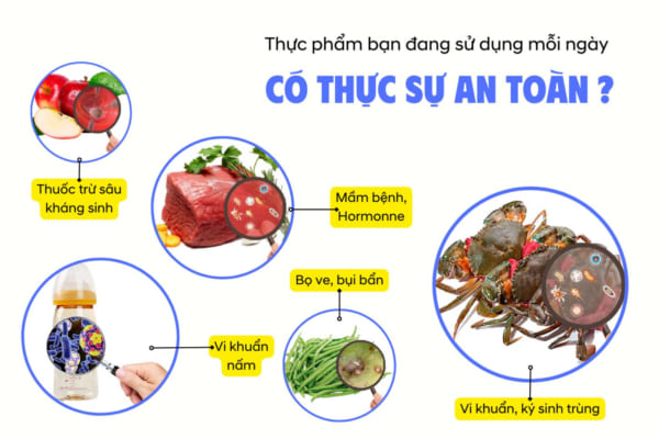 Máy ozone sục thực phẩm Z-3(3g/h)