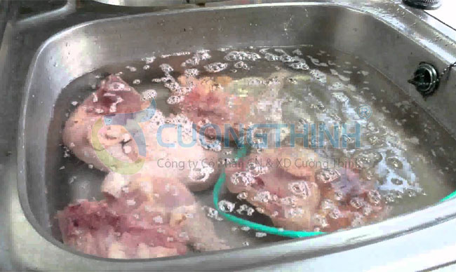 Sục rửa khử trùng thịt bằng nước Ozone