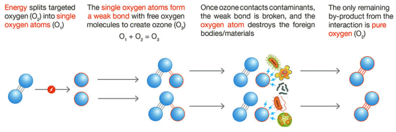 Ozone loại bỏ vi khuẩn trên thịt 