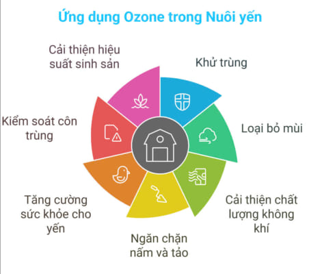 Ứng dụng của máy ozone trong phòng nuôi yến