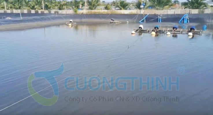 Bàn giao hệ thống máy ozone công nghiệp 100g/h cho trang trại nuôi tôm